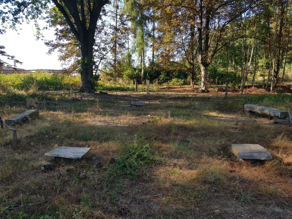 WhatsApp Image 2022-08-13 at 5.35.49 PM